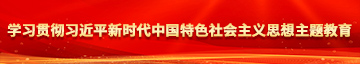 逼逼被大鸡吧操高潮迭起的视频学习贯彻习近平新时代中国特色社会主义思想主题教育